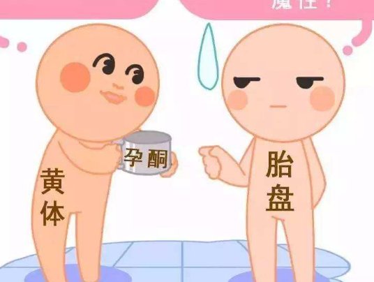 2026邵阳市中心医院试管费用大揭秘！助孕花销一看就懂！