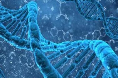 试管婴儿都发育很快吗（试管婴儿发育和正常孩子一样吗）