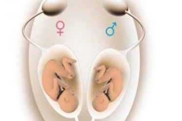 2026石家庄助孕机构大全